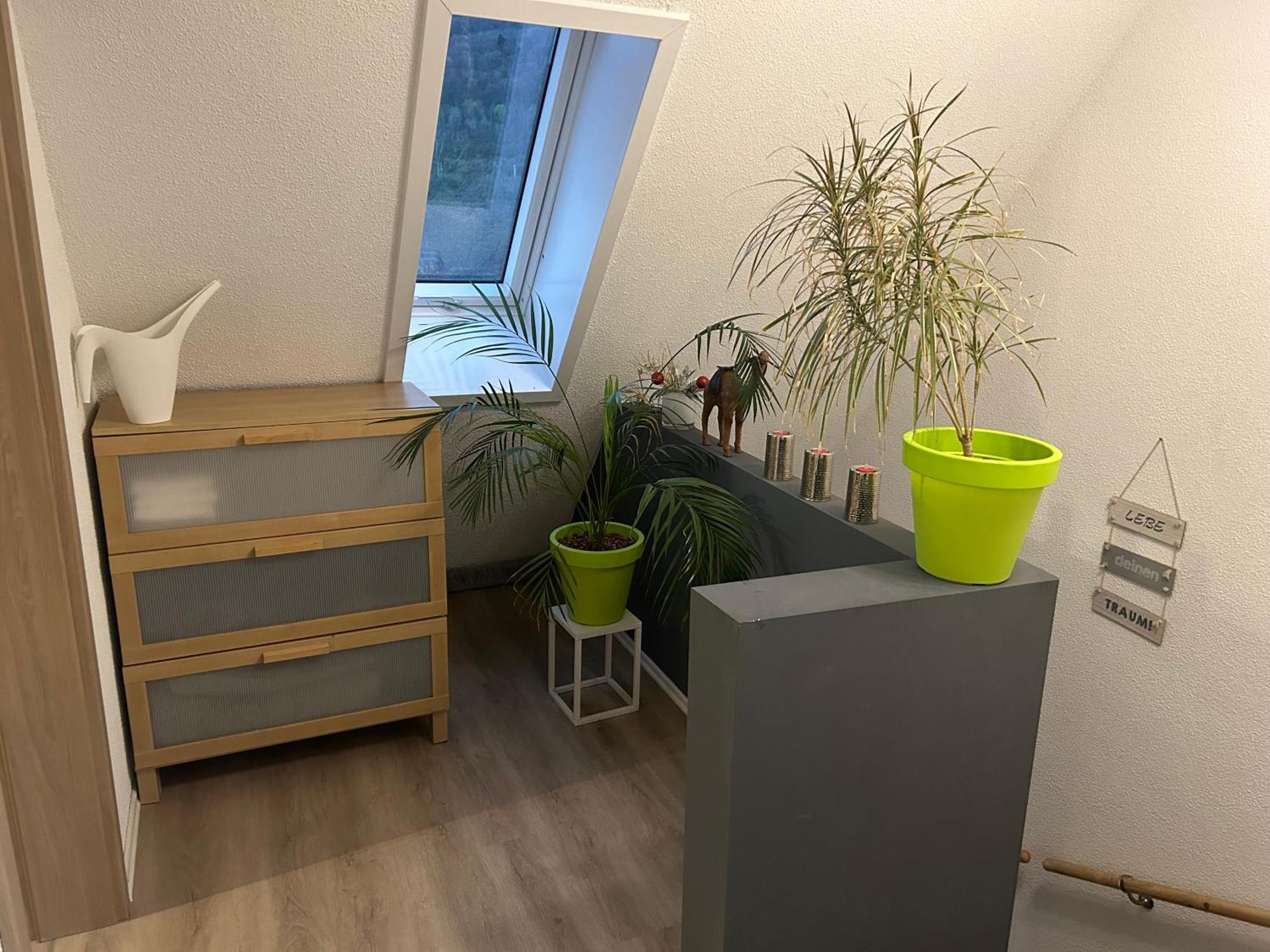 Ferienhaus Ayna, Direkt An Der Schweizer Grenze 바드사킹겐 외부 사진